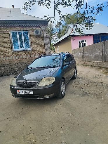 танк авто: Toyota Corolla: 2003 г., 1.6 л, Ручные, Бензин, Универсал — 1