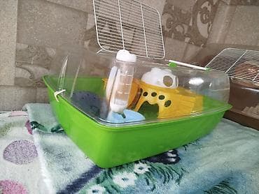 3д сетки: Клетка . террариум . в отличном состоянии размеры : длина 53 ширина — 3