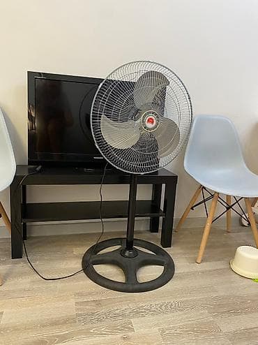 Техника для уборки: Вентилятор Electrolux, Напольный, Лопастной — 1