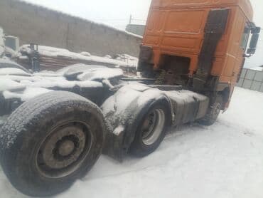 воск для авто: Тягач, DAF, 2001 г., Без прицепа — 8