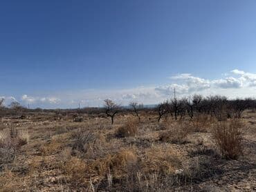 участок 16 соток: 13 соток — 1