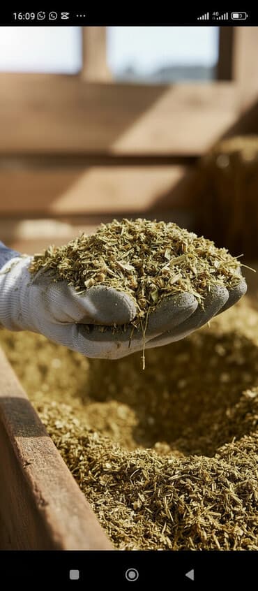 можно купить собаку: Кукурузный силос 7 сом + доставка сенаж 9000 сом + доставка качества — 1