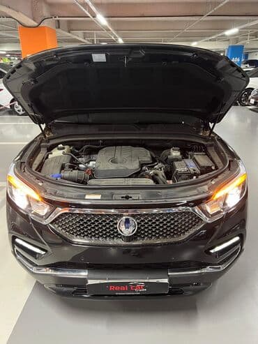 rex: Ssangyong Rexton: 2019 г., 2.2 л — 8