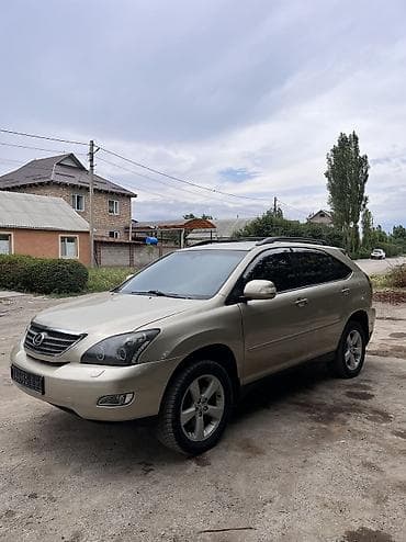 ls 400: Lexus RX: 2004 г., 3.3 л, Автомат, Бензин, Кроссовер — 1