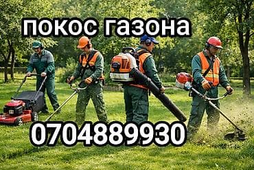 Уборка территории, Стрижка газона