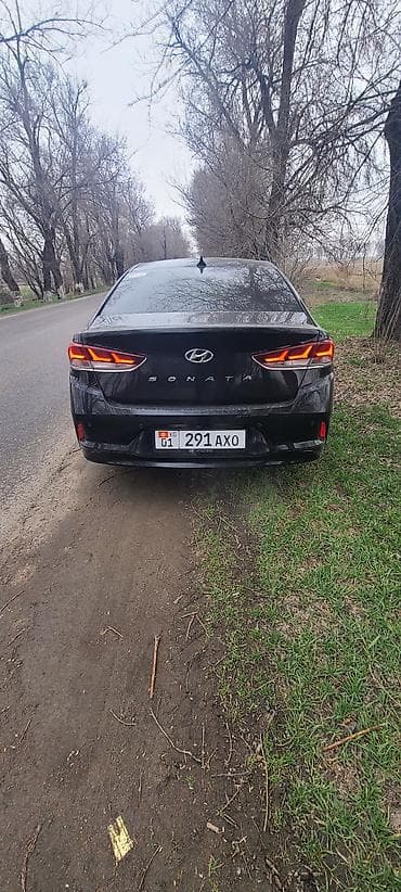 Hyundai Sonata: 2019 г., 0.2 л, Автомат, Газ, Седан — 4