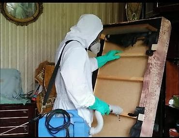 Дезинфекция, дезинсекция, | Тараканы, | Квартиры