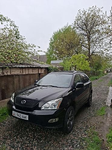 Lexus RX: 2004 г., 3.3 л, Автомат, Газ, Кроссовер