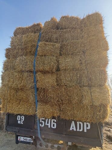 дом кролика: Ячменная солома тюки большие с доставкой - Тюки плотной прессовки — 1