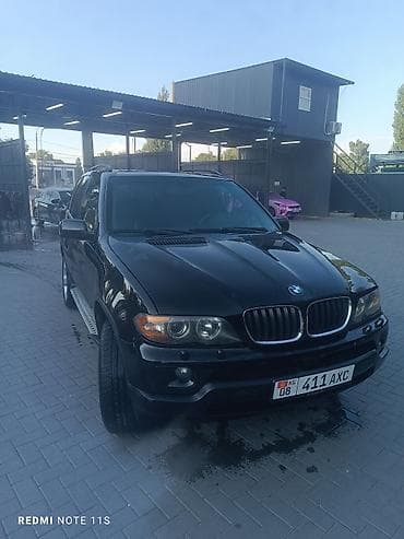 BMW X5: 2005 г., 4.4 л, Автомат, Бензин, Кроссовер — 4