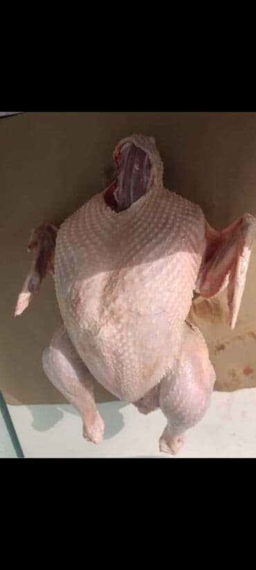 ножы для шаурмы: Индюк  — 1