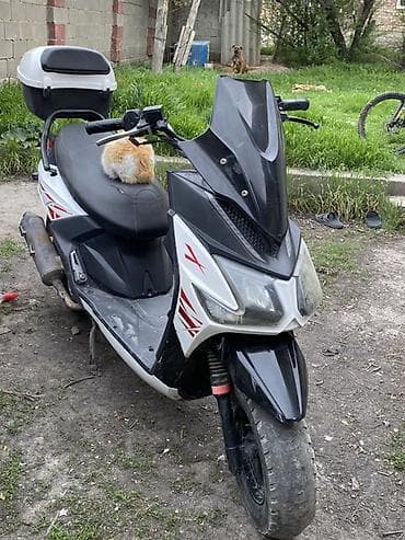 daf 95xf: Продаю самурай 150 куб. Пластика все на месте. Состояние хорошая — 1