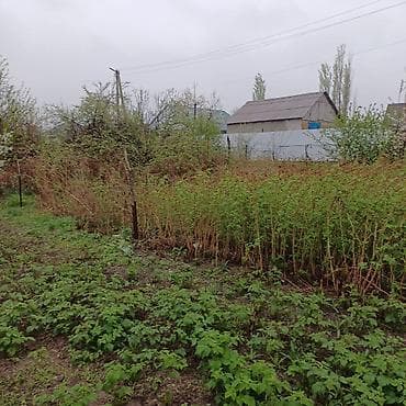 бесплатные объявления недвижимость: 5 соток, Для строительства, Тех паспорт — 6