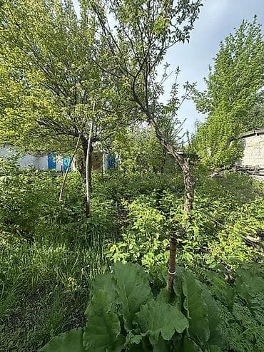 көчмө үйлөр: 🏡 Продаётся дом с участком 8 соток | 5 ГЭС, с. Дачное ✨ Уютный — 6