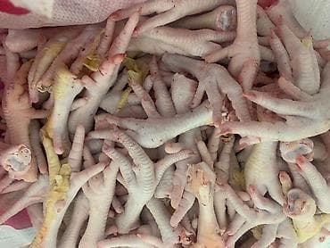 mr beast: Продаю куриные потроха Свежие замороженные без запаха итд Желательно — 3