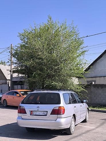 infinity qx: Nissan Primera: 2001 г., 1.8 л, Ручные, Бензин, Универсал — 6