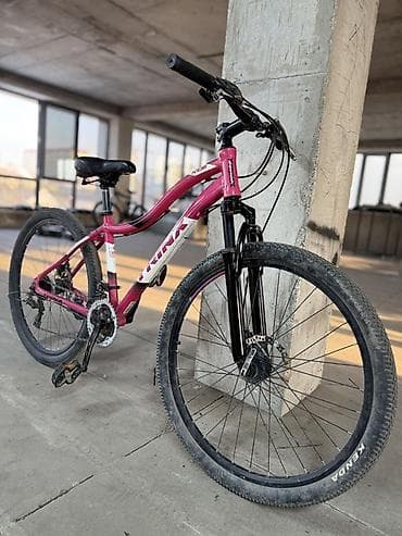 fixed gear: Горный велосипед, Trinx, Алюминий — 2