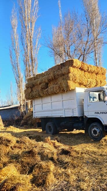 моющий пылесос для химчистки салона автомобиля бу: Грузовик, MAN, Дубль, 7 т — 7