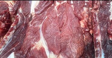 мраморная говядина бишкек цена: Говядина : Лопатка — 3