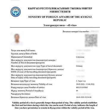 билет в турцию: Визы в Кыргызстан, США, Японию и Шенген. Помогаю с оформлением виз в — 7