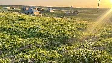 туп район: 6 соток, Для строительства, Красная книга — 7