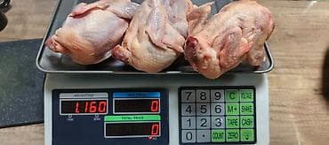 Перепелиные тушки . Только у нас перепёлки весом -350 грамм. Мы в lalafo.kg да Перепелиные тушки . Только у нас перепёлки весом -350 грамм. Мы в