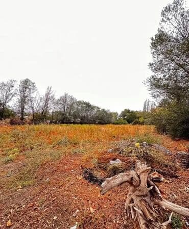 ишу земельный дом кок жар: 22 соток, Красная книга — 1