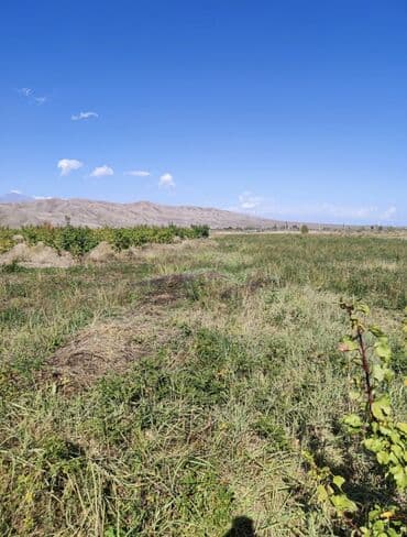 рабочий городок пол дома: 600 соток, Айыл чарба үчүн, Кызыл китеп, Техпаспорт, Сатып алуу-сатуу келишими — 2