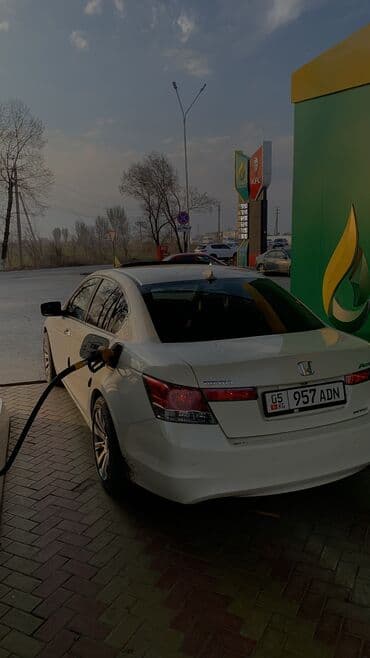 купить шины в бишкеке бу: Honda Accord: 2008 г., 2.4 л, Автомат, Бензиновая, Седан — 11