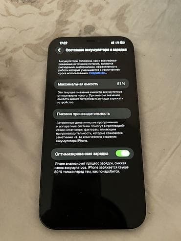 IPhone 12 Pro, 256 ГБ, Pacific Blue, 81 % — 4