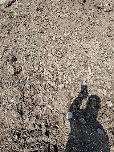 Үй жана бакча үчүн баардык: Плодородная земля/грунт для участка и озеленения. Описание: - — 3