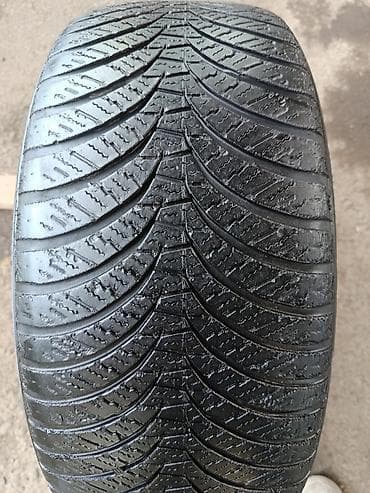 Шины 225 / 45 / R 18, Всесезонная, Легковые, Япония, DUNLOP