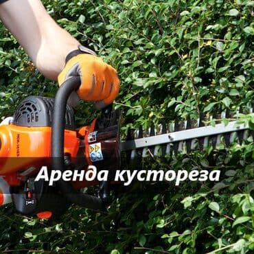 парикмахер аренда: Кусторез аренда аренда кустореза кусторез в аренду прокат кустореза — 1