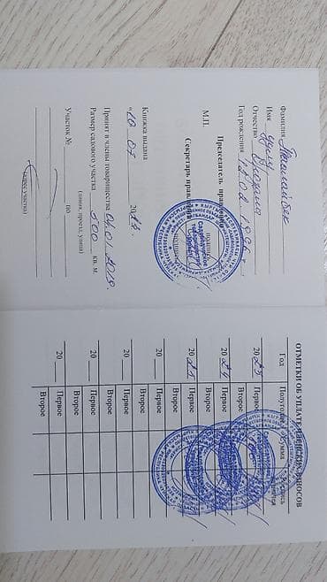 поля земли: 5 соток — 4