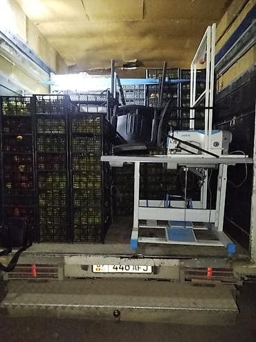 январь 5 1: Грузоперевозки24/7 Бишкек Чолпон Ата Каракол Mercedes спринтер ( — 5