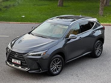 model x: Lexus NX: 2023 г., 2.4 л, Автомат, Бензин, Кроссовер — 8