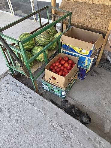фрукты банан: Сдается готовое помещение для торговли! 🍎🥕🍉 Помещение оборудовано для — 3