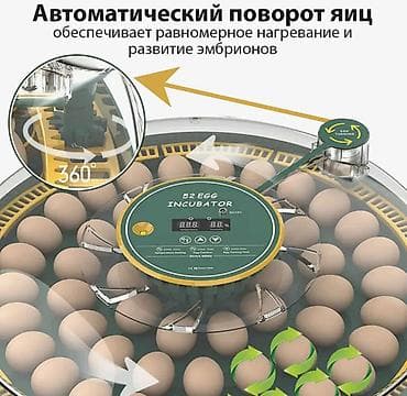 Оборудование для производства: Инкубатор автоматический на 52 яйца (модель HHD 52H / Wonegg) — 2