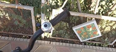 tinyti велосипед: Шаардык велосипед, Велосипед алкагы S (145 - 165 см) — 5