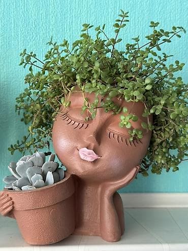 цветов: Декоративные кашпо и мини-вазоны для комнатных растений - Фигурные — 1