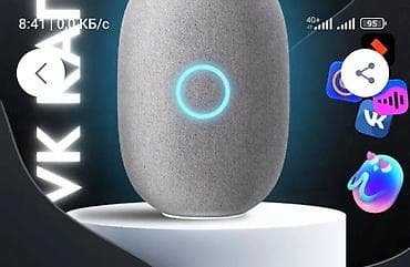 digital audio recorder: Умная колонка VK Капсула с голосовым помощником Марусей — цвет — 2