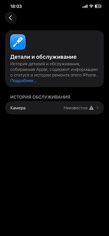 note 7 pro: IPhone 12 Pro Max, Б/у, 256 ГБ, Серебристый, Чехол, 80 % — 6