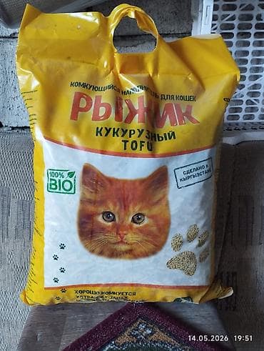 серые кошки фото: Продаю лоток для кошек в идеальном состоянии и коврик и совок за 2000 — 7