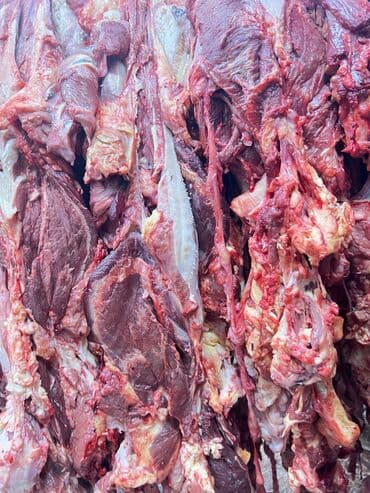 цены на мясо в бишкеке 2022: Мясо мясо мясоо. Продаются головное мясо Халал 💯 круговой целиком — 2