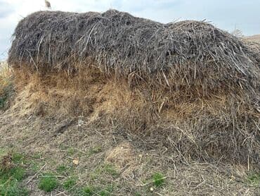 домик на дереве: Сено/солома в стоге - Натуральная растительная масса, уложенная в — 1