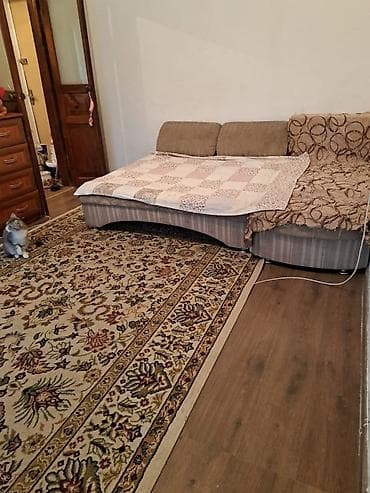 Кыймылсыз мүлк: 1 бөлмө, 30 м², Алтын чарчы Жеке план, 4 кабат, Косметикалык оңдоо — 10
