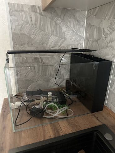 аквариум с рыбкой: Аквариум с комплектом оборудования и декором - Прозрачный — 3