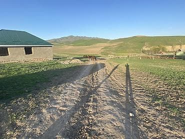 участок на авто: 7 соток, Для строительства, Красная книга, Договор купли-продажи — 4