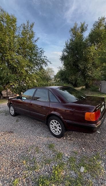 nardo grey: Audi 100: 1991 г., 2 л, Механика, Бензин, Седан — 1