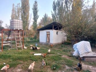 дом новониколаевка: Дом, 50 м², 3 комнаты, Собственник, Старый ремонт — 5